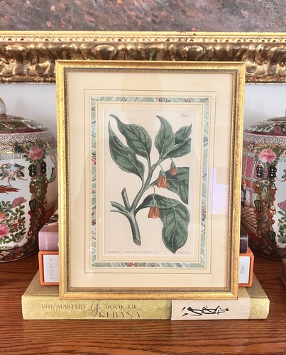 Antique original 1808 curtis - antique,