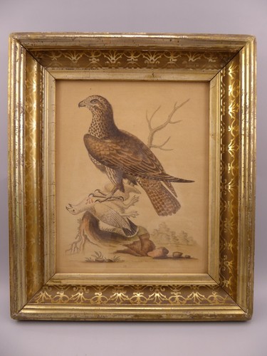Antique framed george edwards - antique,
